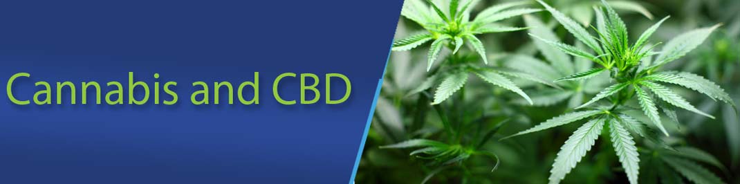 Cannabis and CBD GMP Consultants